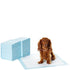 Almohadillas para orinar para perros y cachorros de Amazon Basics con diseño de secado rápido a prueba de fugas para entrenamiento para ir al baño, absorción estándar, tamaño regular, 22 x 22 pulgadas, paquete de 100, azul y blanco