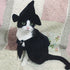Cute Hooded Cloak Witch/Wizard Halloween Holiday Costume for Small Dogs & Cat Kitten, Cat Costume